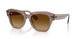 682785 - Brown - Gradient Brown
