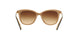 109013 - Black - Brown Gradient
