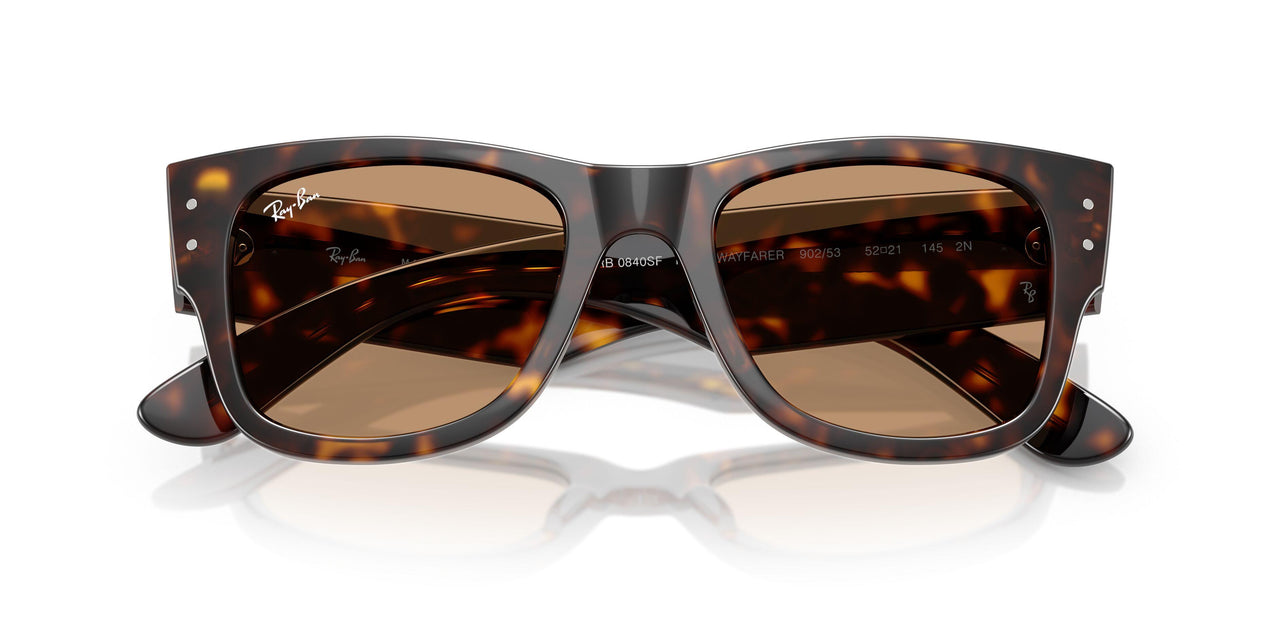902/53 - Tortoise - Brown