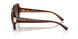 2571T5 - Brown - Gradient Brown Polar