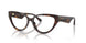 5002 - Tortoise