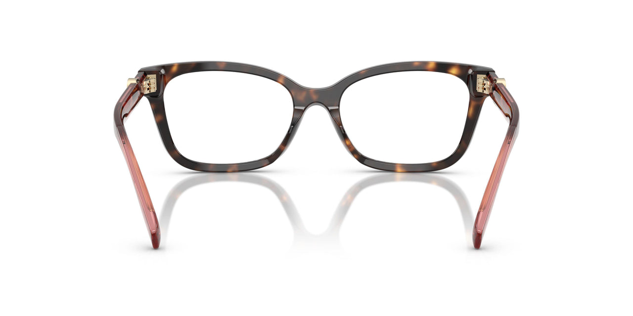 1964 - Tortoise