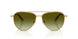 4017E8 - Gold - Gradient Brown