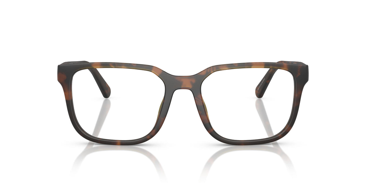 5120 - Tortoise