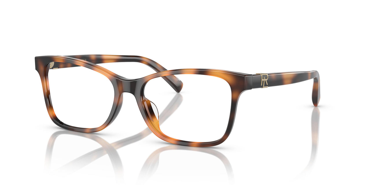 5303 - Tortoise