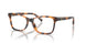 5303 - Tortoise