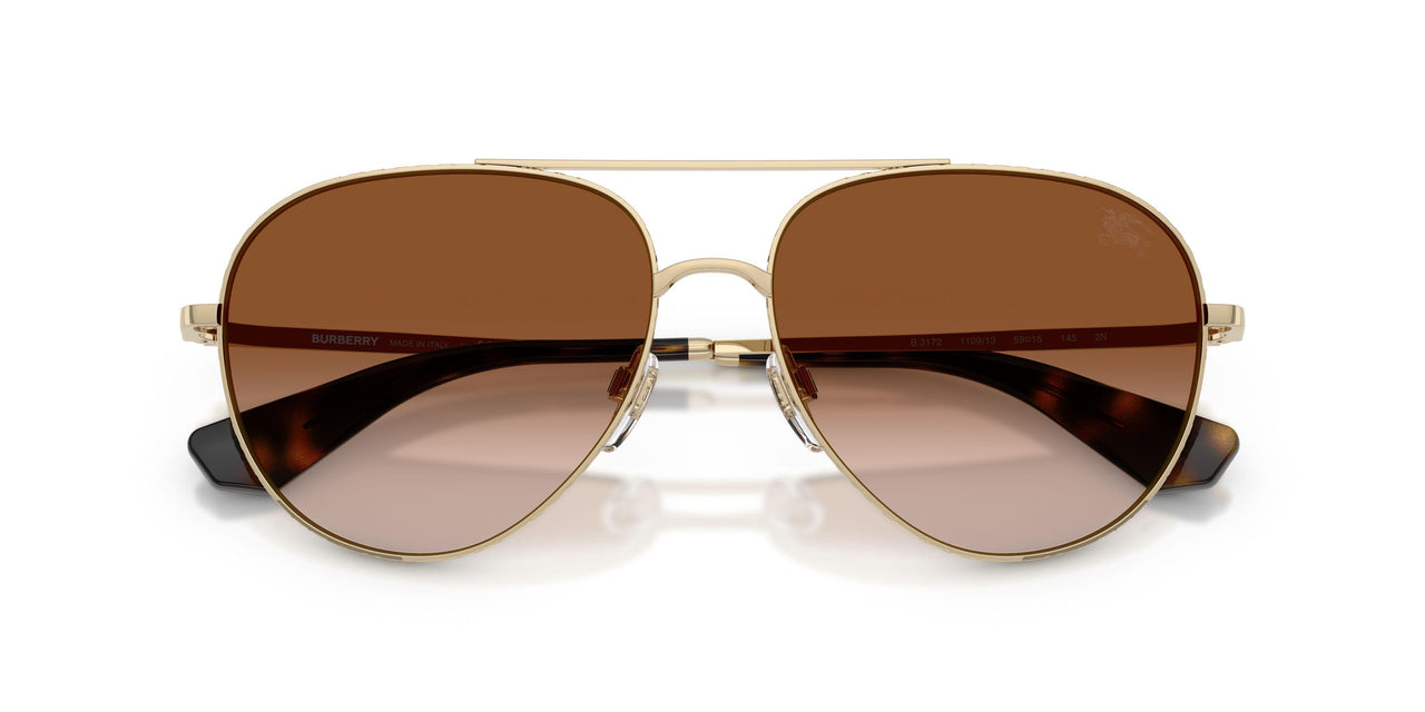 110913 - Gold - Brown Gradient