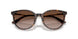 500213 - Tortoise - Gradient Brown