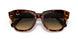 1324BG - Havana - Brown Vintage