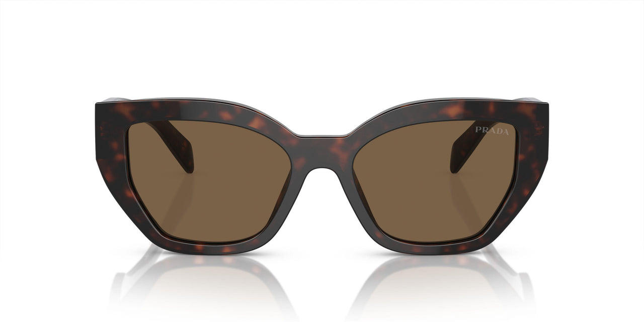 16N5Y1 - Brown - Dark Brown Polar