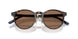 500373 - Tortoise - Brown