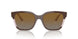 3136T5 - Brown - Grey Gradient Brown Polarized
