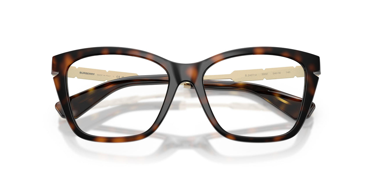 3002 - Brown