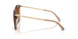 39383B - Brown - Brown Gradient