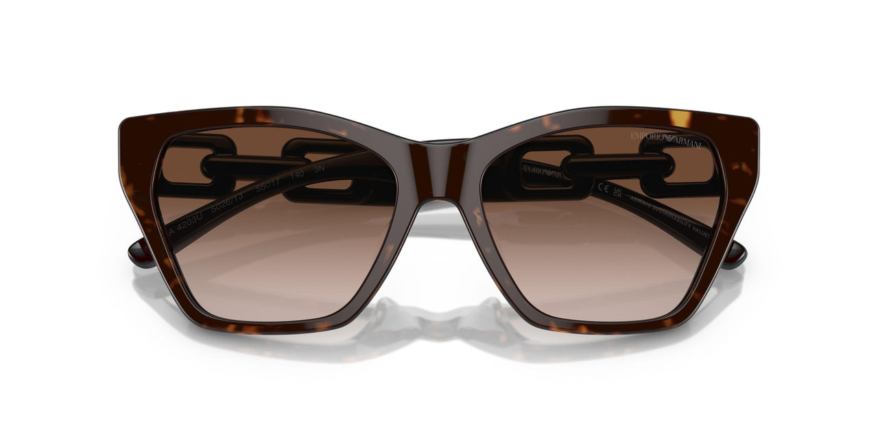502613 - Tortoise - Gradient Brown