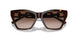 502613 - Tortoise - Gradient Brown
