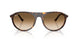 902/51 - Tortoise - Clear Gradient Brown
