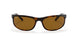 650833 - Havana - B-15 Brown