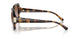 317968 - Tortoise - Violet Gradient Brown