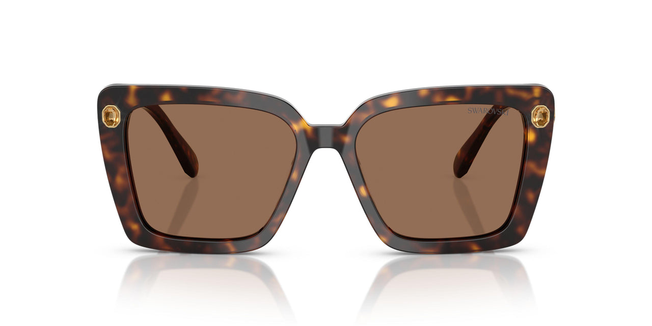 100273 - Tortoise - Dark Brown