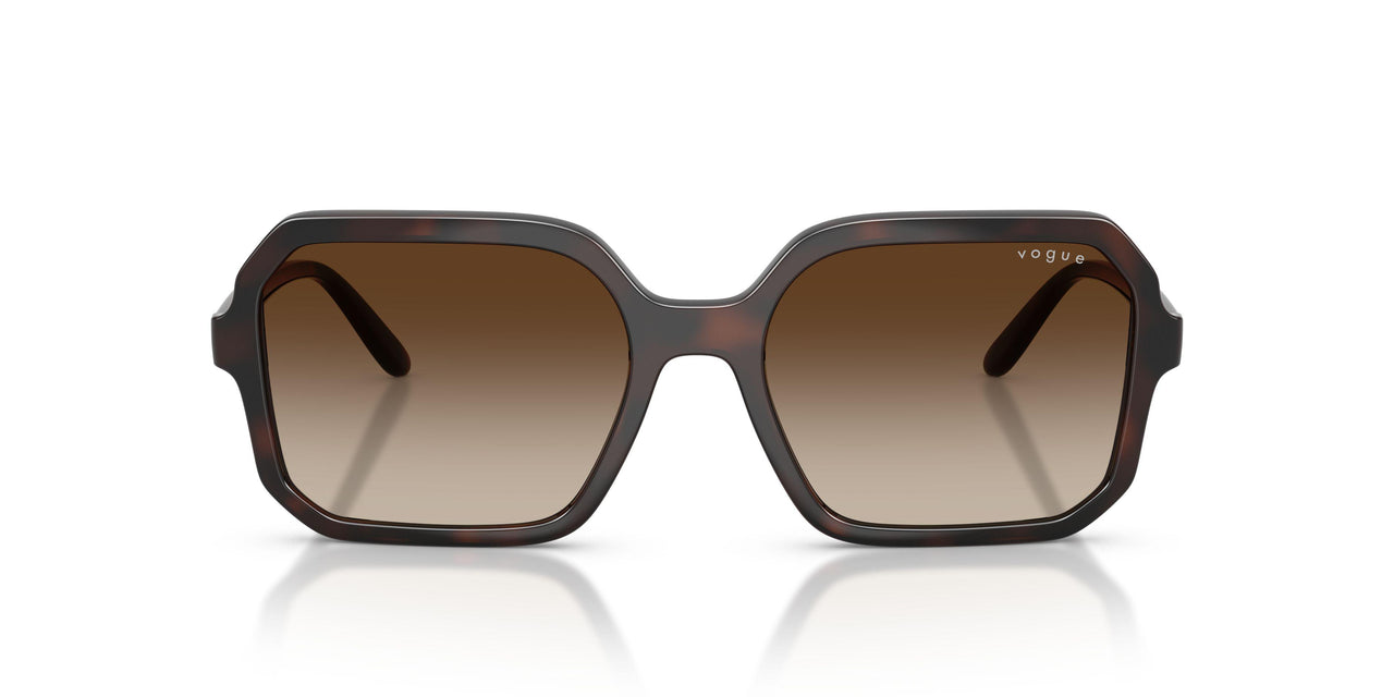 238613 - Brown - Brown Gradient