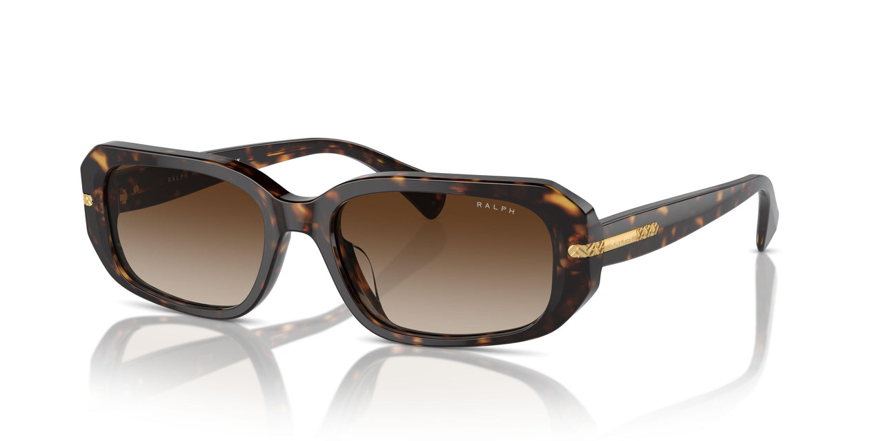 500313 - Brown - Gradient Brown