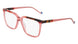 Pure P 6008 Eyeglasses