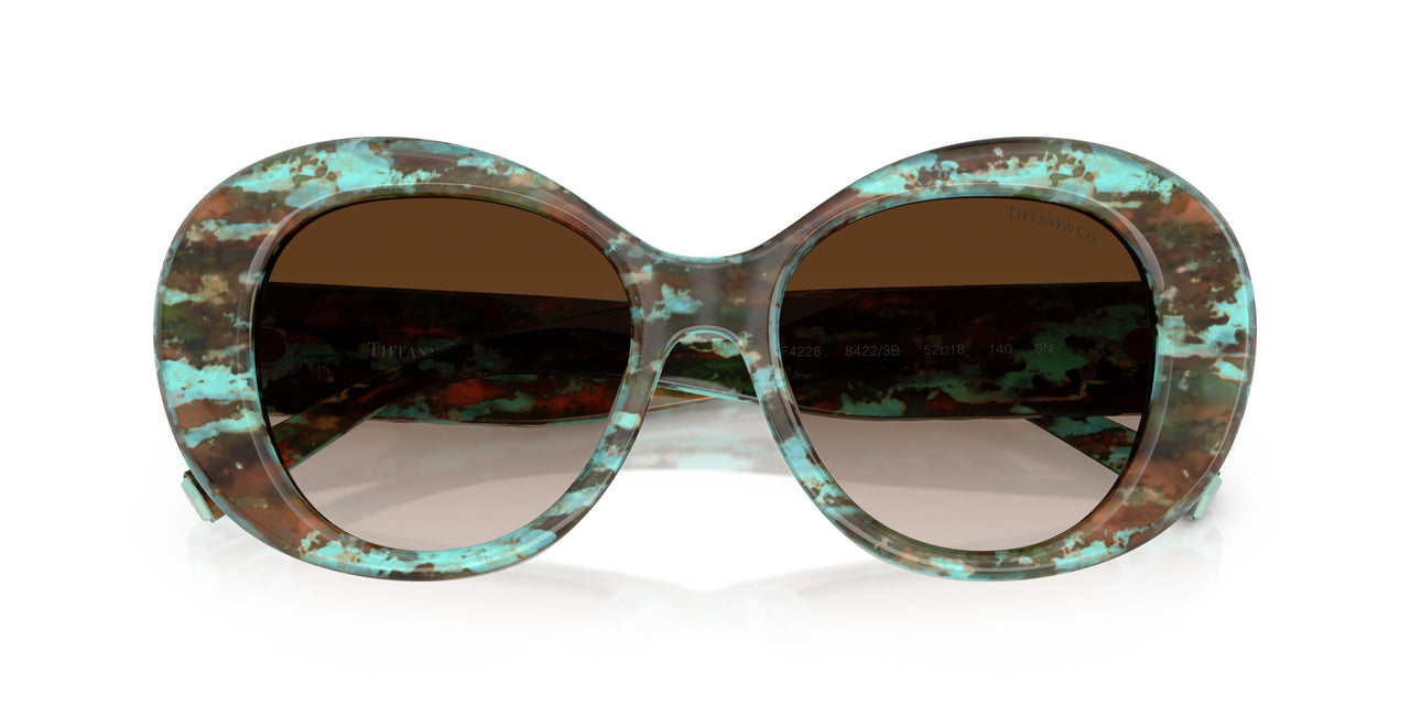 84223B - Tortoise - Brown Gradient