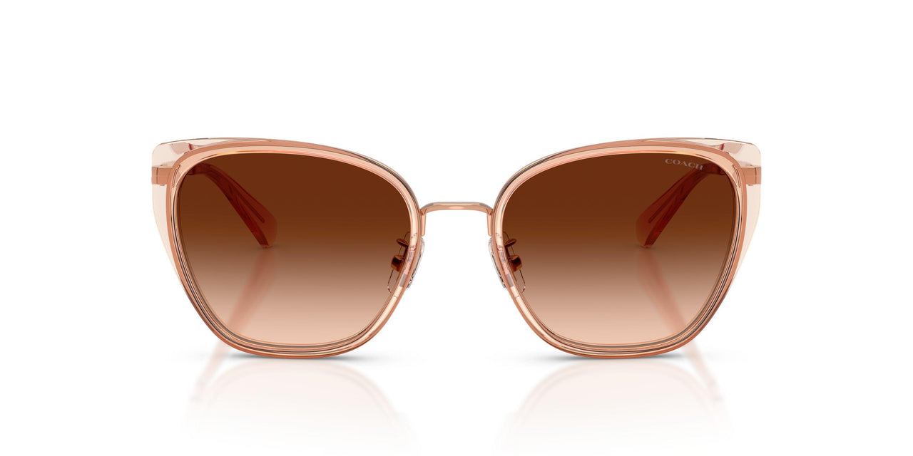 948774 - Brown - Brown Gradient