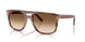 142351 - Tortoise - Clear Gradient Brown