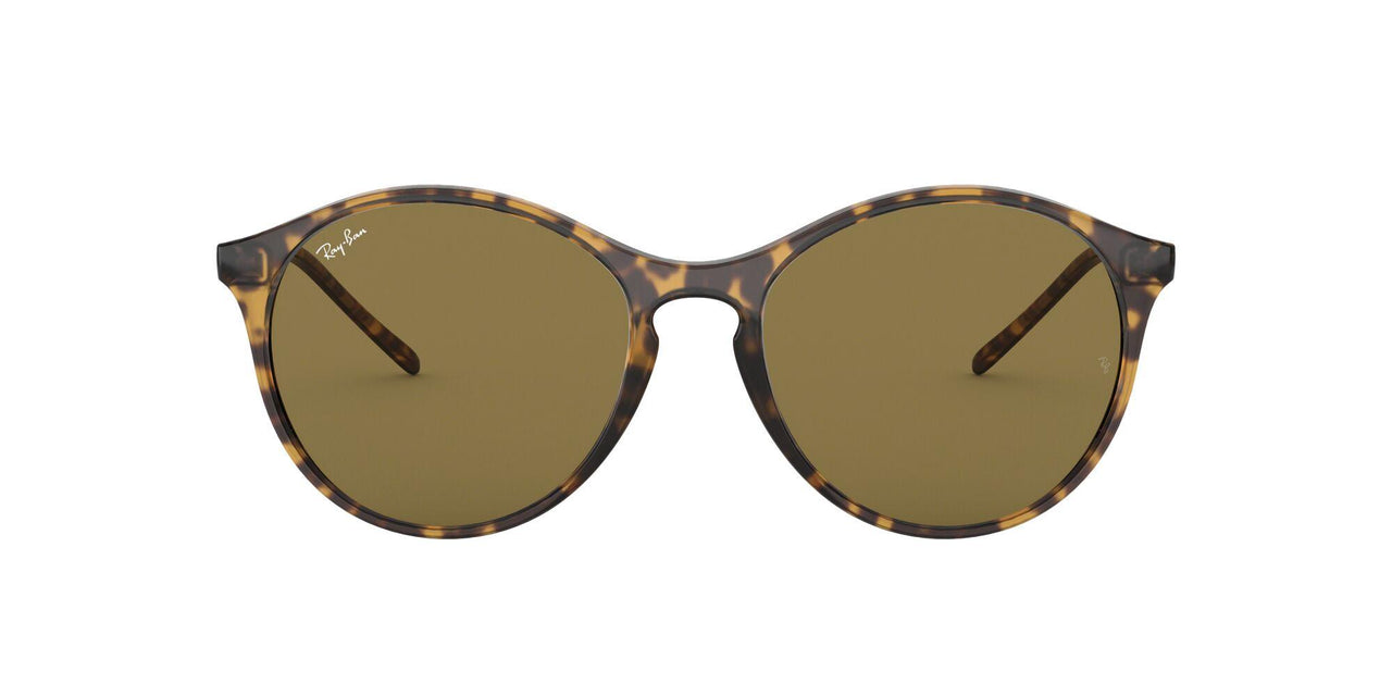 Ray-Ban 4371 Sunglasses