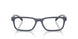 3007 - Blue