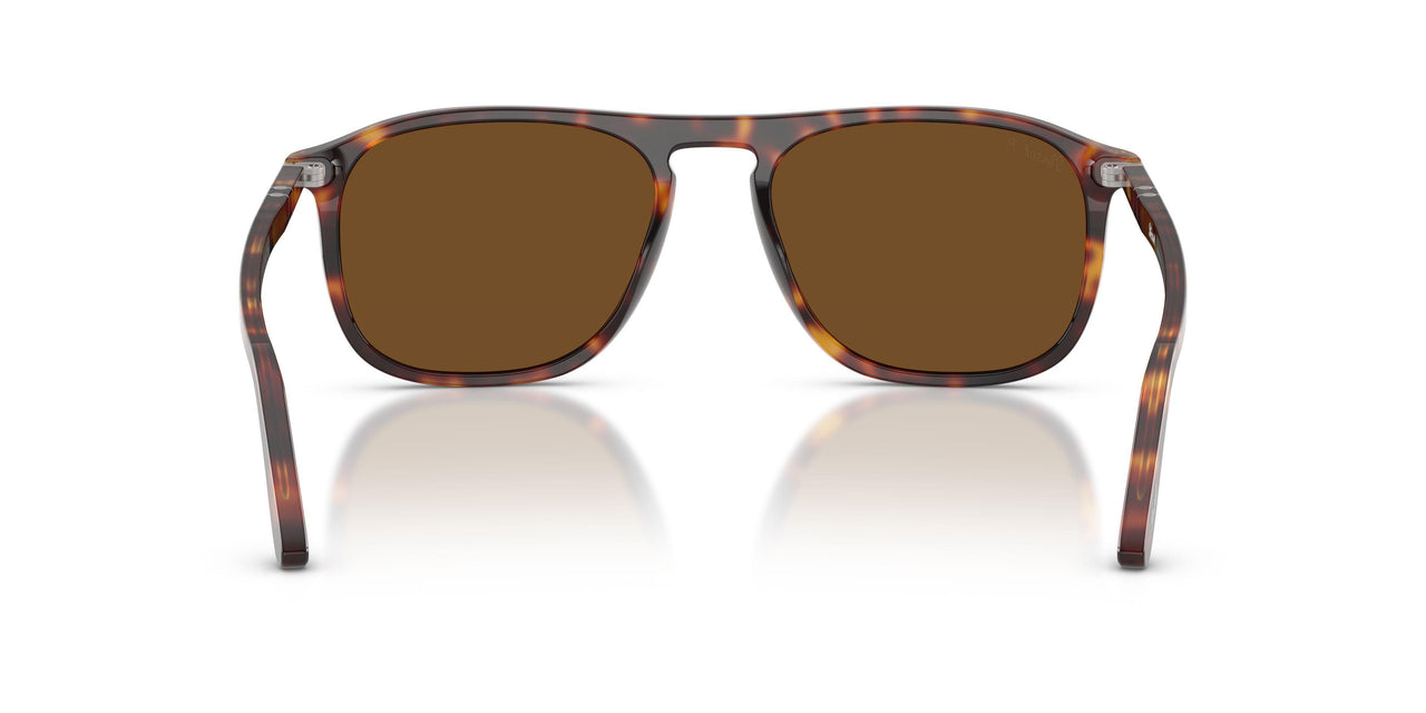 24/57 - Tortoise - Polar Brown