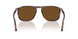 24/57 - Tortoise - Polar Brown