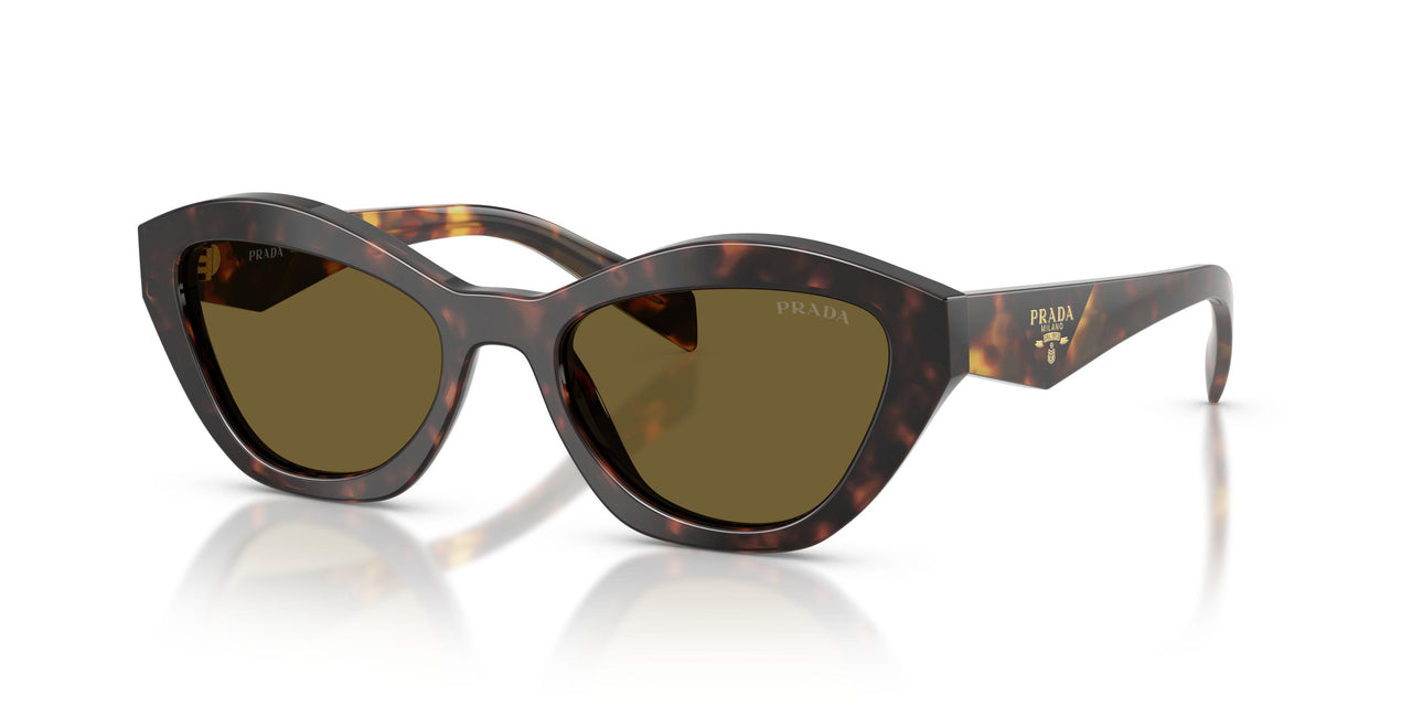 17N09Z - Tortoise - Dark Brown