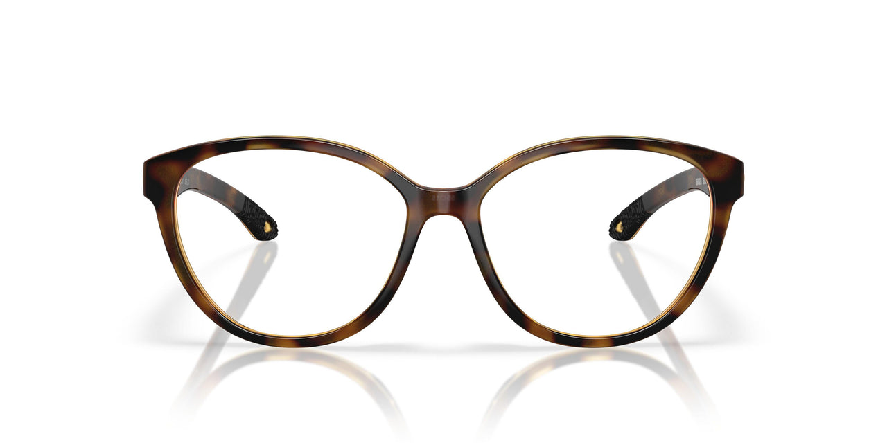 802503 - Tortoise