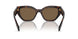 16N5Y1 - Briar Tortoise - Dark Brown