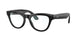 Ray-Ban Meta Skyler 4010 Sunglasses