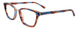 10 - 1-Brown & Blue Marbled & Gold