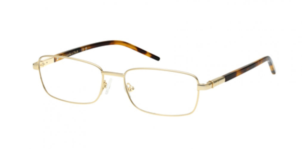 ABERCROMBIE & FITCH 50073 Eyeglasses