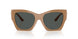 551787 - Brown - Dark Grey