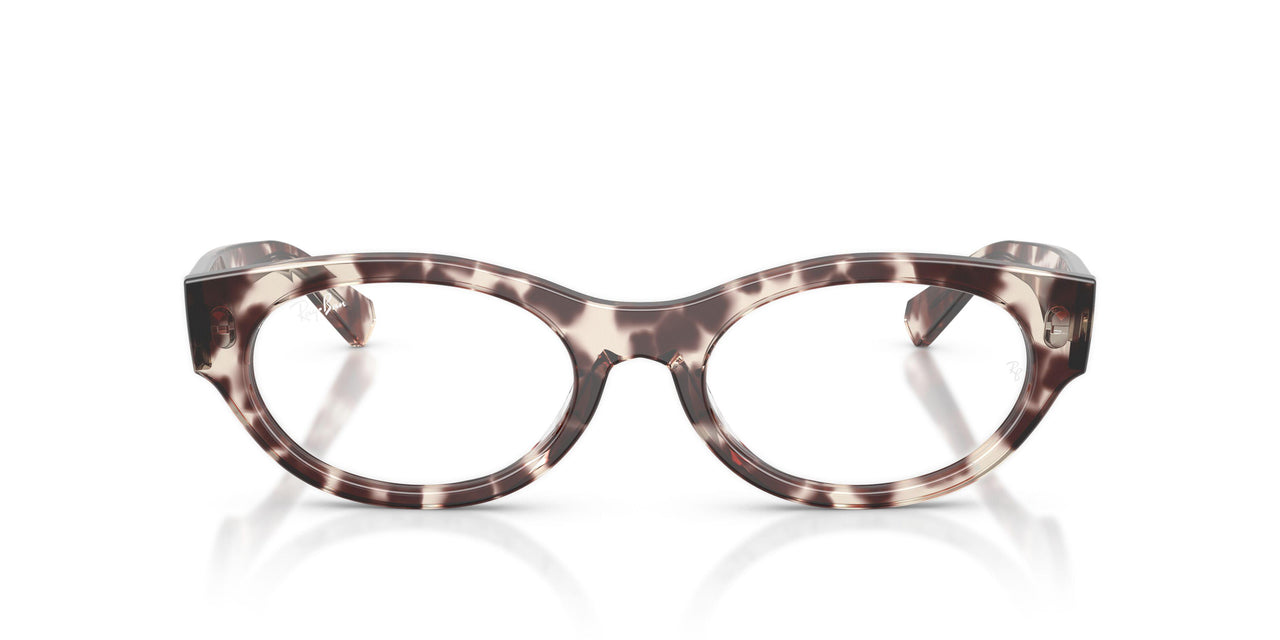 8461 - Tortoise - Clear