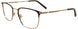 10 - Matt Dark Brown & Matt Gold/Matt Gold