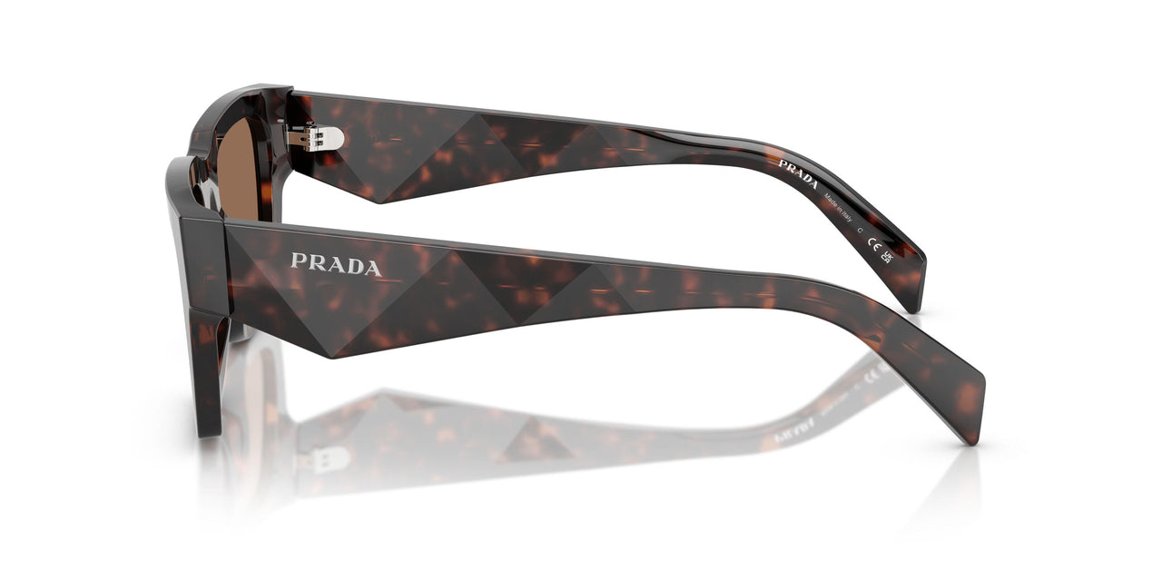 17N06B - Tortoise - Dark Brown