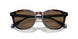 500373 - Brown - Brown