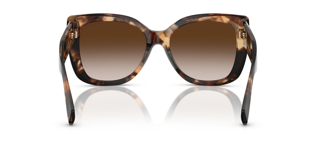 84213B - Brown - Brown Gradient