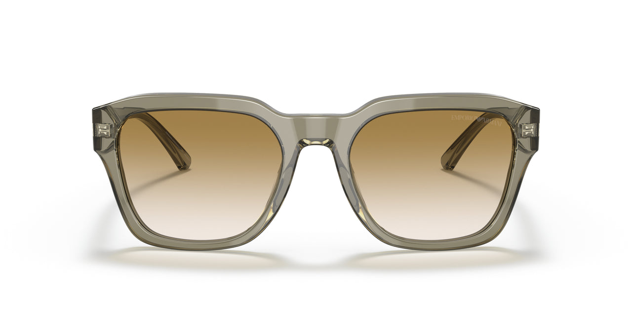 588413 - Green - Gradient Brown