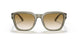 588413 - Green - Gradient Brown