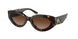 172813 - Havana - Brown Gradient