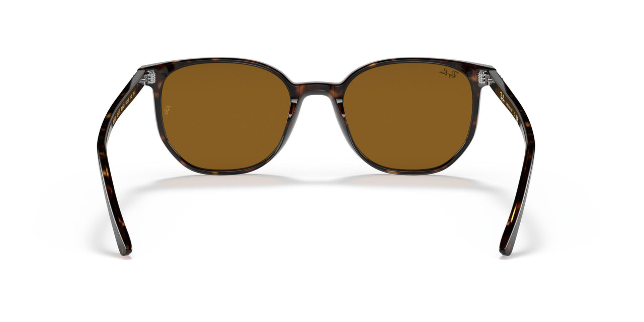 902/33 - Havana - Brown